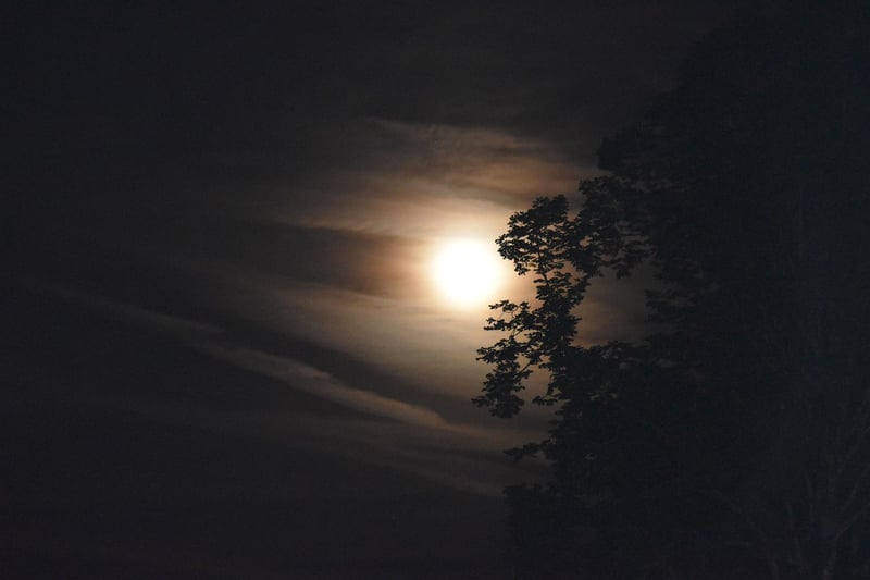 Moonlit nuptials